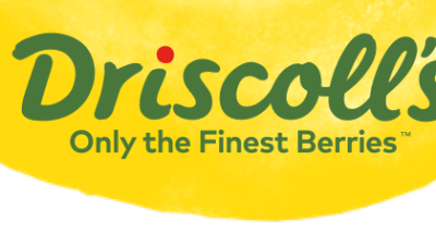 logo-driscolls-texture