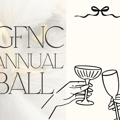 2026 Annual Ball